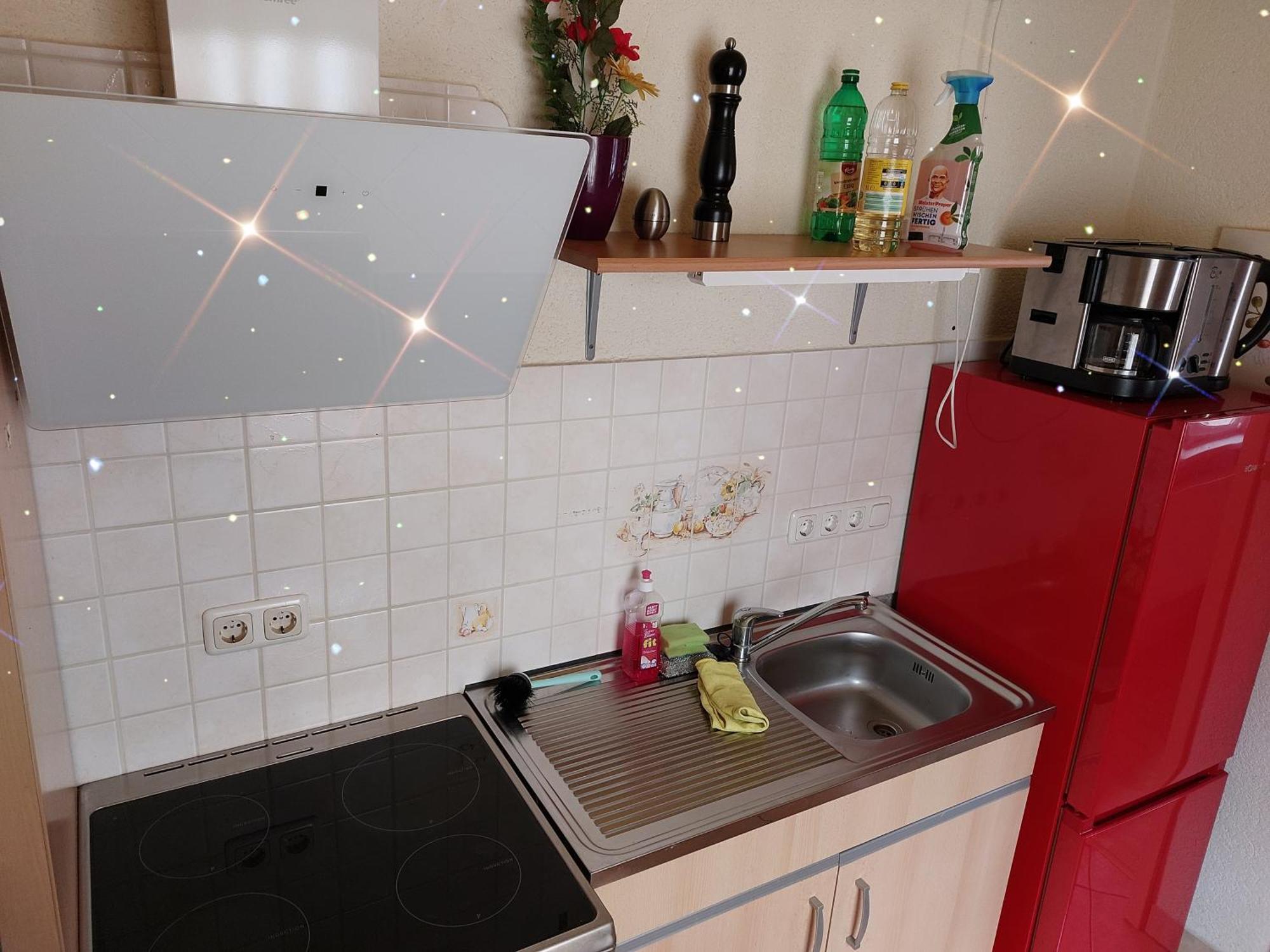 Landhauswohnung Am Thueringer Meer - Fuehlen Wie Zuhause Remptendorf 外观 照片